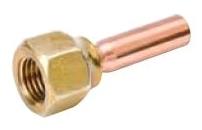  - Brass Fittings